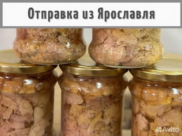 Печень трески свежая