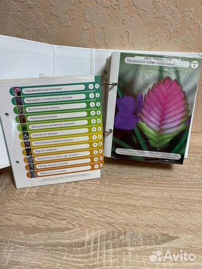 Журнал пособие Цветы для дома растения домашние
