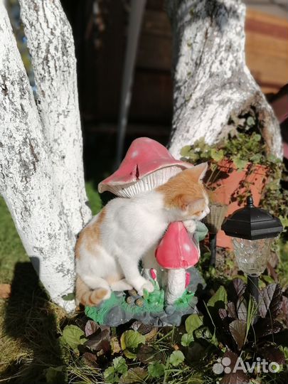 Кошка в дар