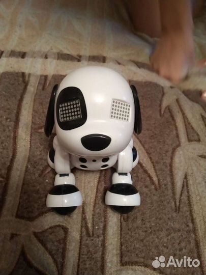 Электронная собака