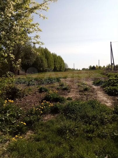 Участок 40 сот. (ИЖС)