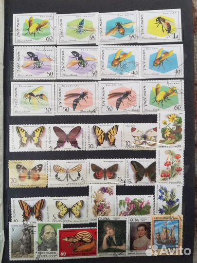 Альбом с марками СССР
