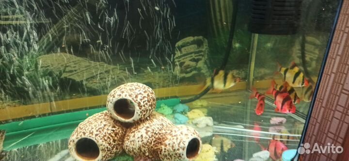 Аквариум с тумбой 120 лит