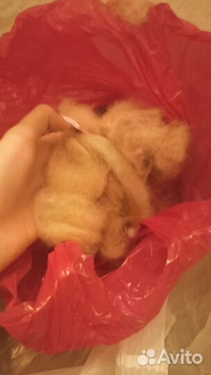 Собачья шерсть и пух