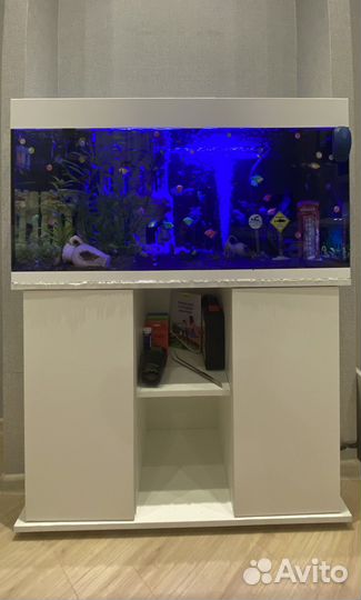 Продам аквариум под ключ. торг