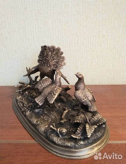 Глухари на току