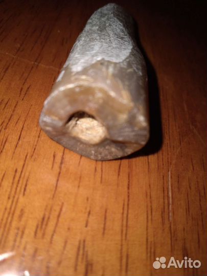 Белемнит чертов палец