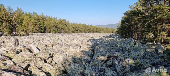 Аренда квадроцикла