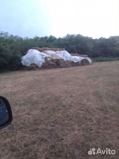 Сено в тюках