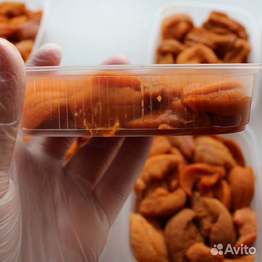 Экстракт Морского Ежа