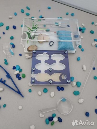 Муравьиная ферма