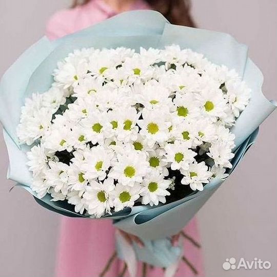 Хризантема Букет хризантем Доставка