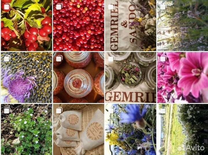 Травы дикоросы