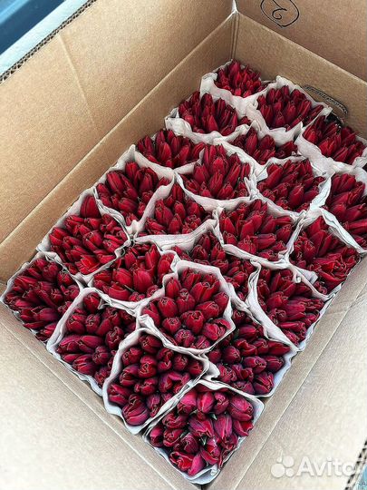 Тюльпаны свежие оптом / Букет на 8 марта