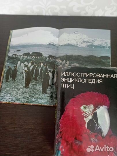 Книги о животных и птицах