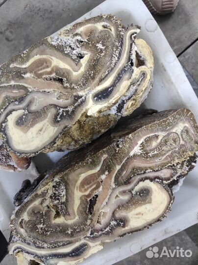 Рубец для собак