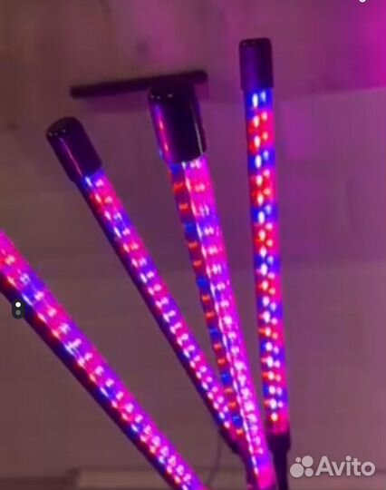 Фитолампа для растений