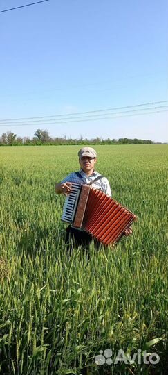 Аккордеонист баянист гармонист на праздники