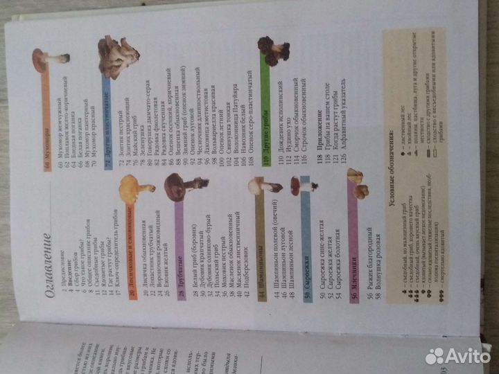 Справочник о грибах