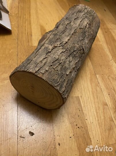 Ствол катальпа