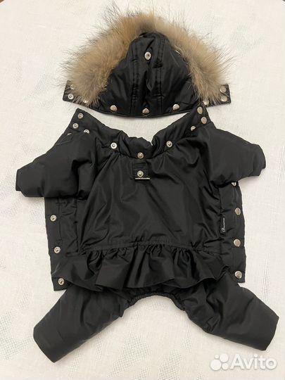 Одежда для собак