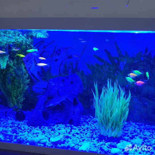 Аквариум aquael 105л