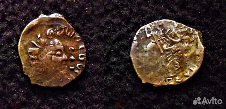 Чешуя удельные монеты Княжеской Руси 18