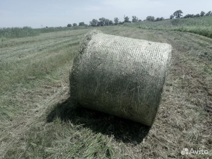 Сено с доставкой