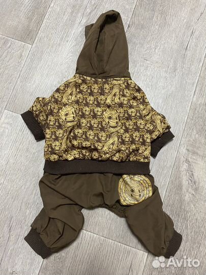 Одежда для собак мелких пород