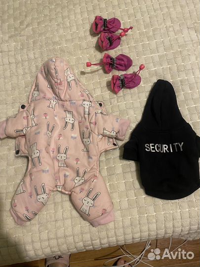 Одежда для маленьких собак xs