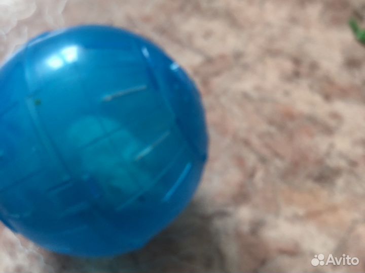 Шарик для хомяка.бу