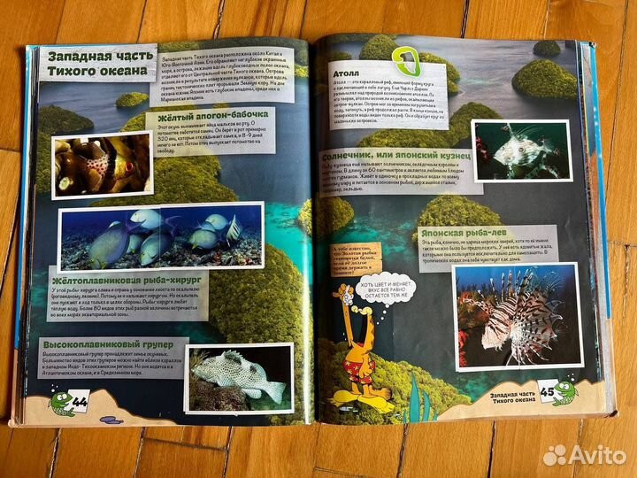 Детская энциклопедия