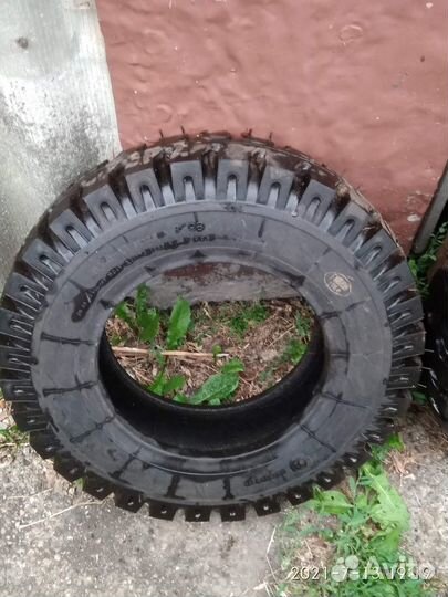 Белшина B-98-1