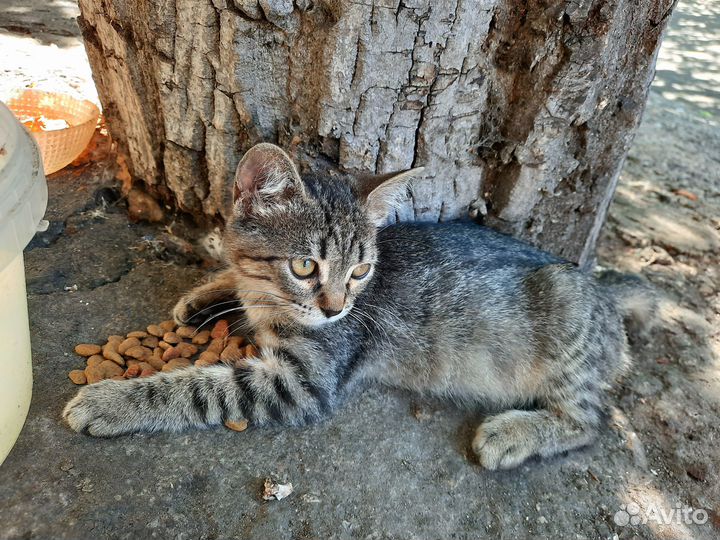 Заберите ребёнка домой