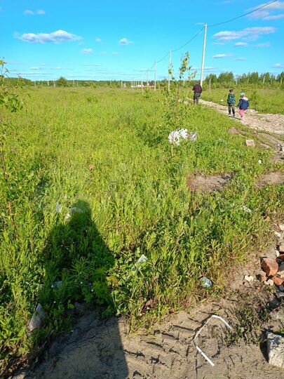 Участок 8,6 сот. (ИЖС)