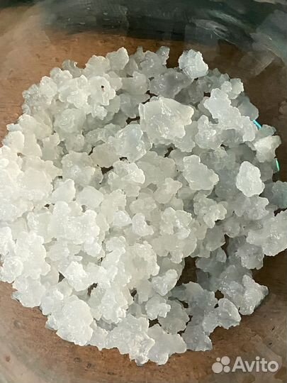 Японский рис (морской рис) для приготовления кваса