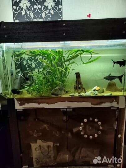Продам аквариум с тумбой