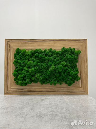 Декоративные панели со стабилизированным мхом