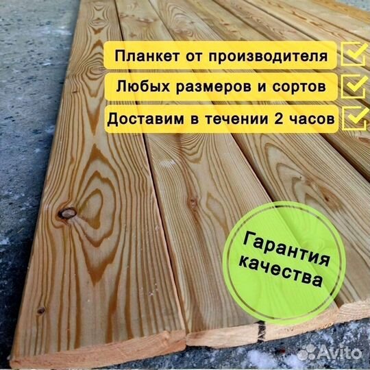 Планкен прямой лиственница