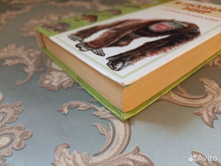 Я познаю мир. Тайны природы