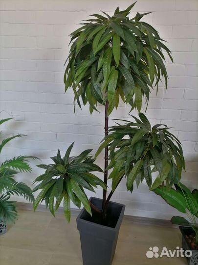 Декоративные деревья, цветы искусственные