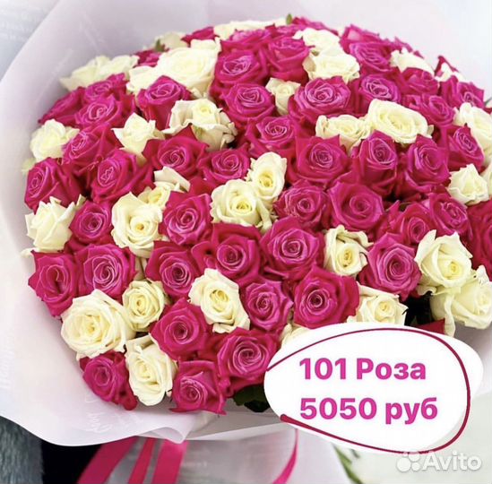 51роза