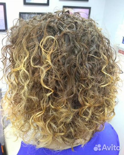 Сдам в аренду