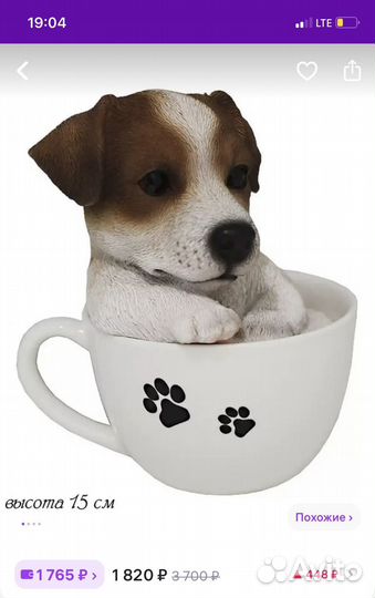 Мини бультерьер в бокале