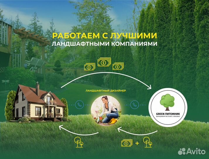 Смарагд,Брабант,колумна в ассортименте