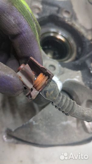 Ступица (кулак, цапфа) левая задняя Audi Q5