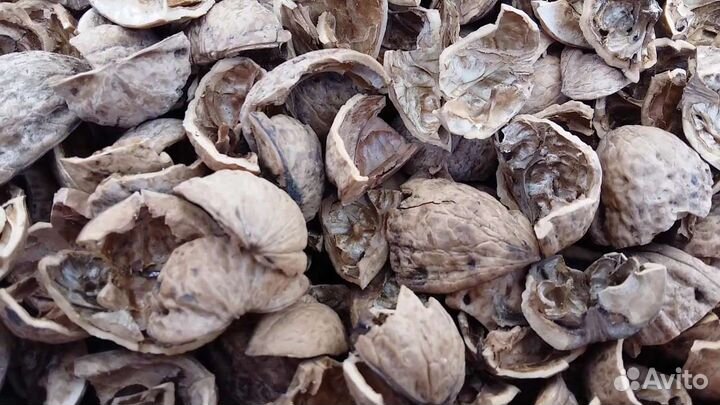 Скорлупа грецкого ореха