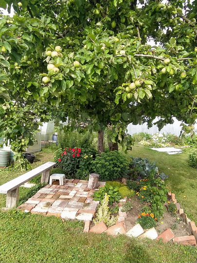 Участок 10,8 сот. (СНТ, ДНП)