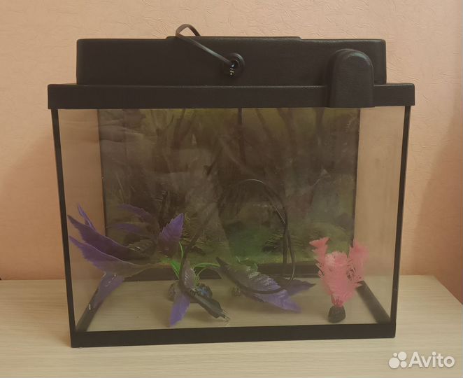 Аквариум