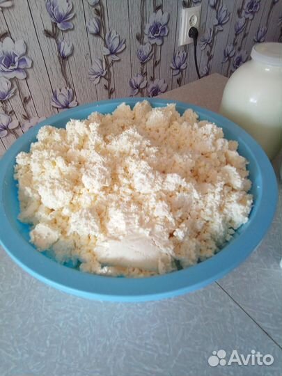 Молоко коровье домашнее и молочные продукты